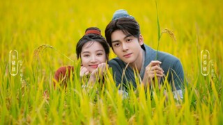 这年头真的有古装剧在认真种田！田里开机还割稻谷【曾舜晞×田曦薇】