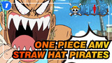 One Piece AMV
Straw Hat Pirates_1