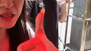 Mencoba makan sehari penuh di Guizhou, berapa kilogram yang akan bertambah