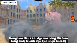 Top 7 Bộ Võ Công Quyền Cước Trong One Piece #16 9