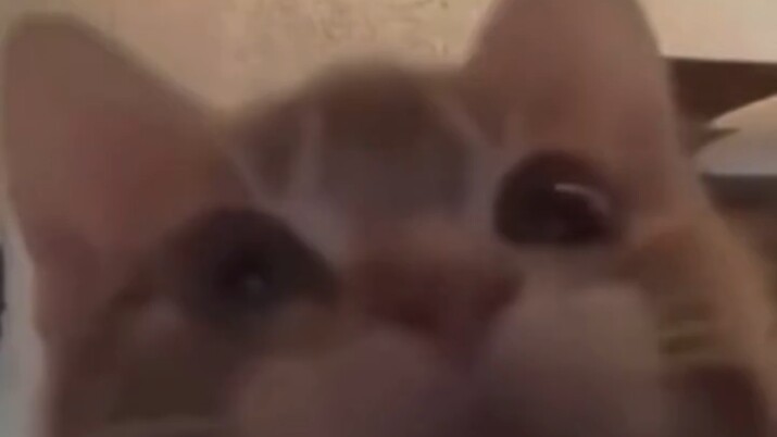 ต้นกำเนิดแห่งความชั่วร้ายทั้งปวง