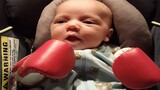 Top 100 Funny Moments Babies Playing Boxing 2 | Funny Baby Videos
