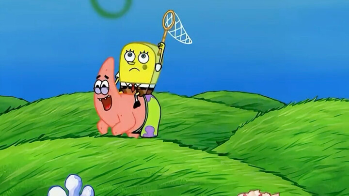 Smooth little sponge