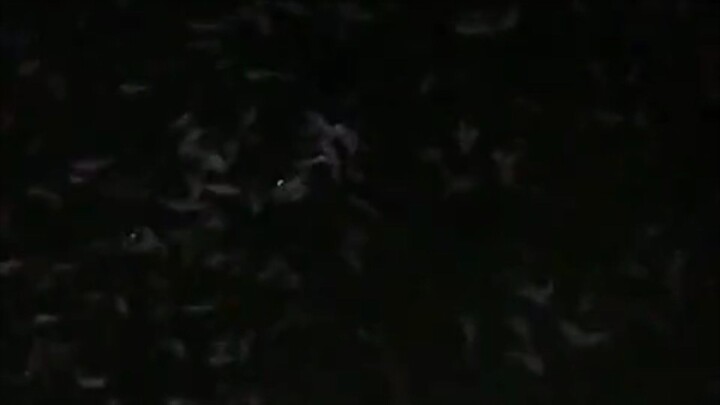 Budidaya ikan lele di segmen apa kalian❓ Pembenihan, Pendederan atau Pembesaran❓Dari daerah mana❓