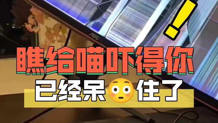 Yan Wang: How did you end up down here?  Xiao Mao: I have no idea—I was just about to accept an awar