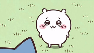 Jiyi Kuku Pure Enjoyment Version Loop for 5 minutes