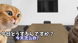 [Cooked Meat] Daily Life at a Nantong Film Production Company (Skipping Work) | Cat Meme