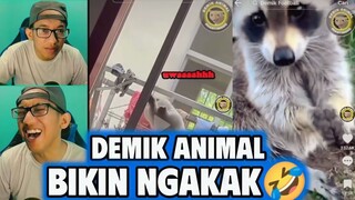 REACTION TIKTOK DEMIK ANIMAL, BIKIN NGAKAK SAMPE SAKIT PERUT ‼️ || REACTION TIKTOK !!!