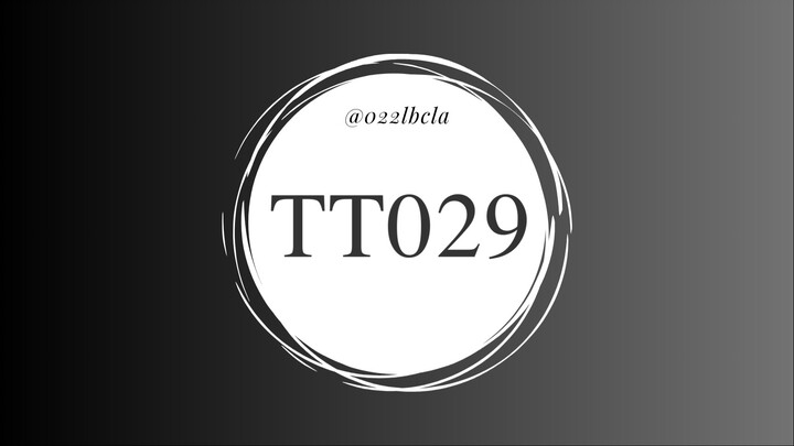 TT029