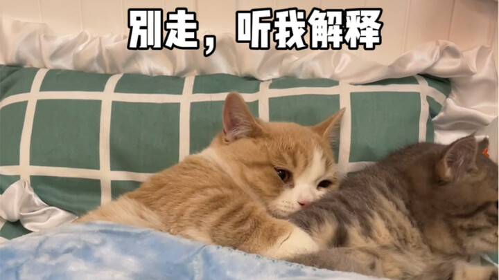 This little couple is *so* good at this!