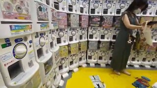 Japan’s Mega Electronics Store – Exploring ALL 9 Floors