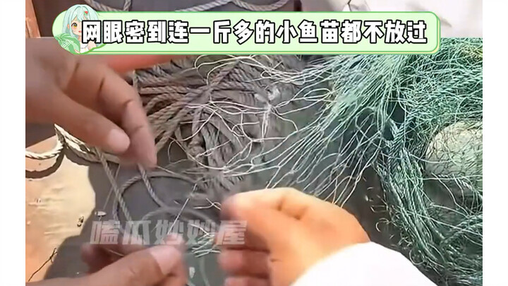 ประชาชนย่อมช่วยกันรักษาสภาพแวดล้อมทางนิเวศของแม่น้ำแยงซี