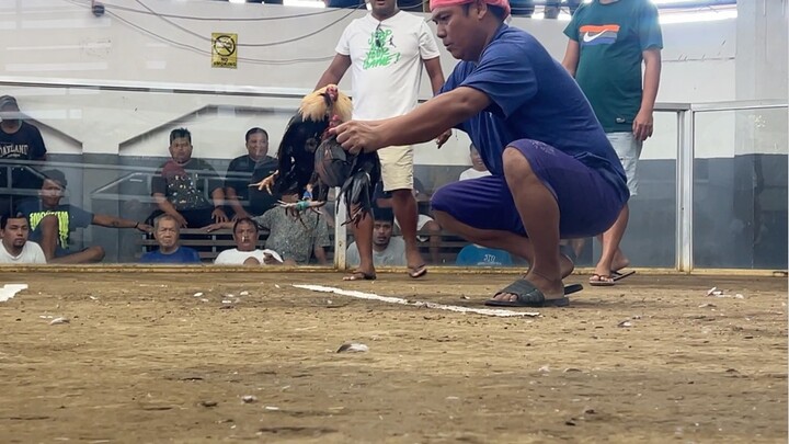 1st Fight MCA 2-Wins