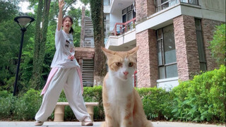小猫城夏天——之小猫以为我是老鼠版