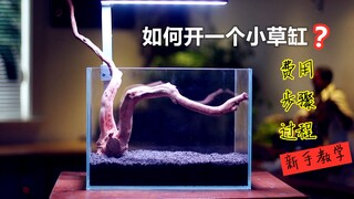 Hướng dẫn | Làm thế nào để bắt đầu một bể cá thủy sinh nhỏ? Chi phí, các bước và quy trình.