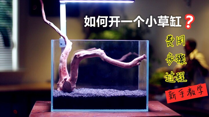Hướng dẫn | Làm thế nào để bắt đầu một bể cá thủy sinh nhỏ? Chi phí, các bước và quy trình.