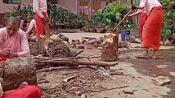 Nuns collect wood for cook