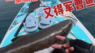 钓一条就管饱