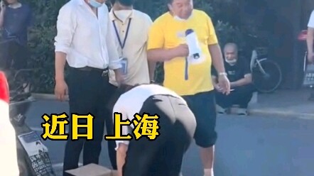 Shanghai offers free little puppies to those who get核酸检测; volunteer: "These are puppies born just re