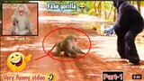 Fake Gorilla prank on monkey dangerous comedy