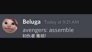[Beluga và những người bạn] Tony Beluga có một trái tim ấm áp❤️