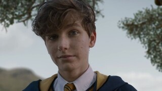 [Binatang Buas Fantastis dan Di Mana Menemukannya] Remix; Newt senior Hufflepuff, pekerja keras dan 