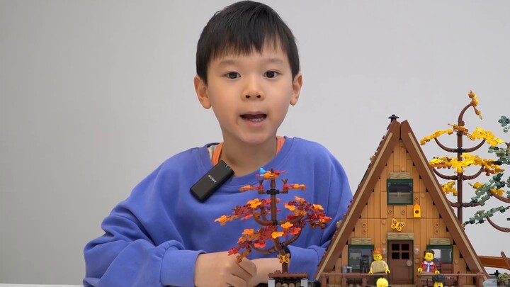Should you buy the new LEGO product? You must listen to me!