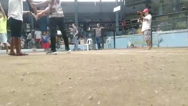 4 stag derby 3rd fight vs shepherd (Cauayan City Isabela)