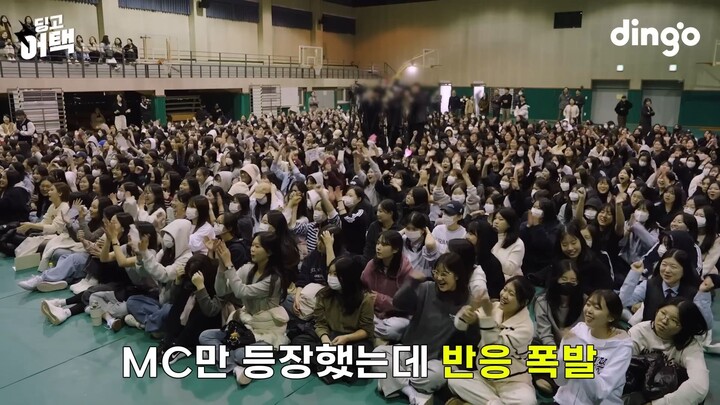 [ID SUB][Dingo Attack] School Edition with ILLIT