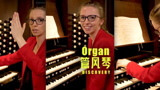 来和管风琴女王一起了解一下管风琴吧‼️