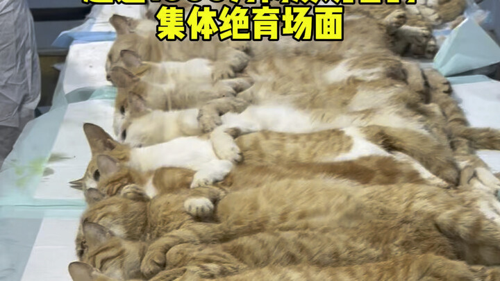 What you see vs. what they experience