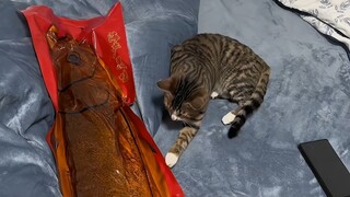 هذا يعادل راتب عام كامل يُلقى أمامك فجأة.