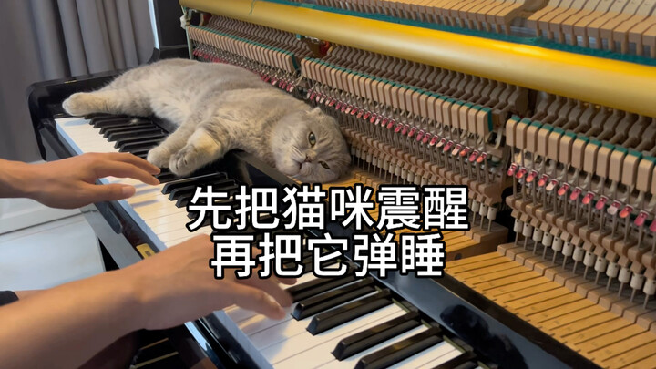 ใช้เปียโนปลุกแมวให้ตื่นก่อน แล้วค่อยบรรเลงจนมันหลับ