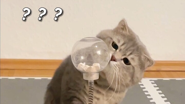 He's hit an intellectual plateau—please cheer him on!