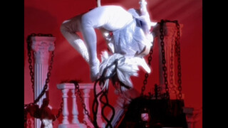 椿之花