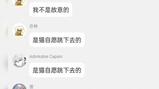 哈基米之隐形的翅膀