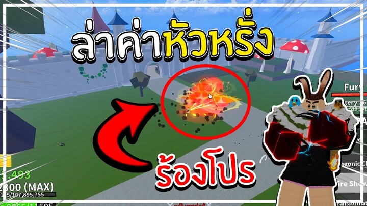 ล่าค่าหัวหรั่ง Blox Fruits จนร้องโปร!!