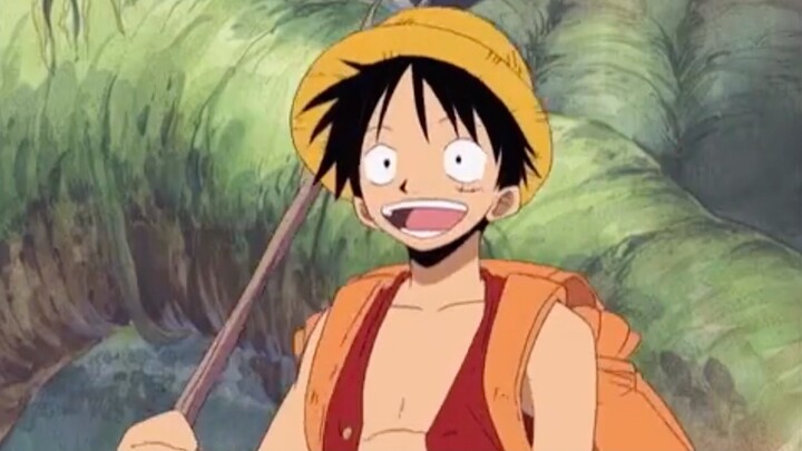 Singer Luffy