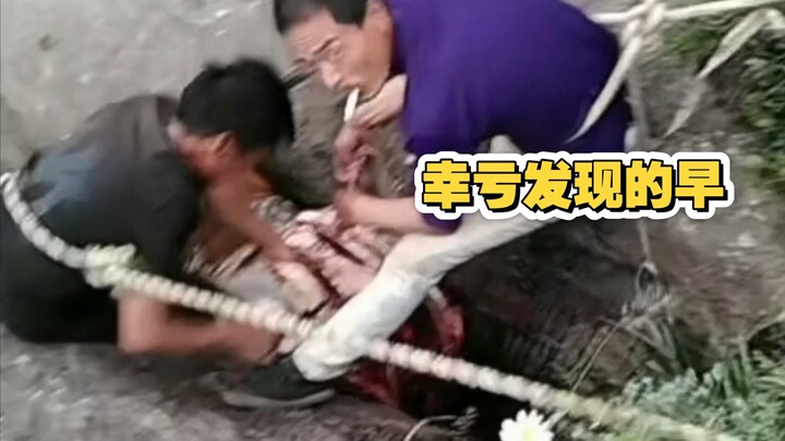 Saving them pound by pound—now that’s a kind-hearted person!