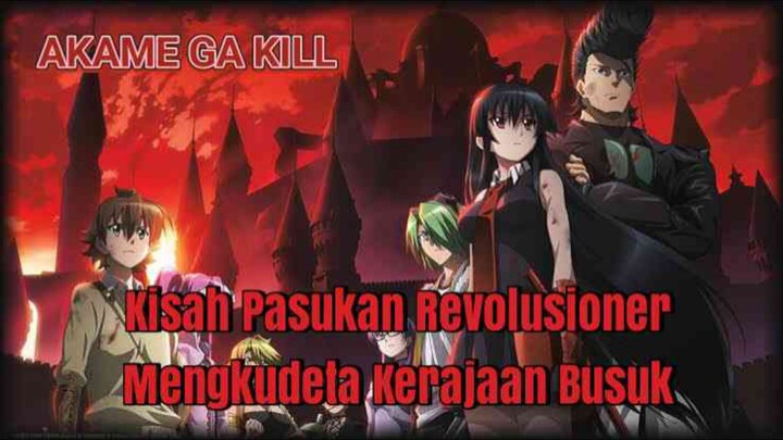 Organisasi Revolusi Menggulingkan Kerajaan inilah Night Raid | Akame Ga Kill Review