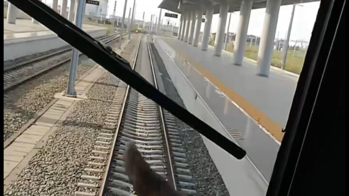Kondisi terkini di lingkaran Anda! Penggemar kereta api melanggar aturan dengan masuk ke ruang kemud