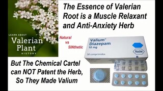 Synthetic is SINthetic -Valerian Completely Safe+Effective versus Valium Addictive