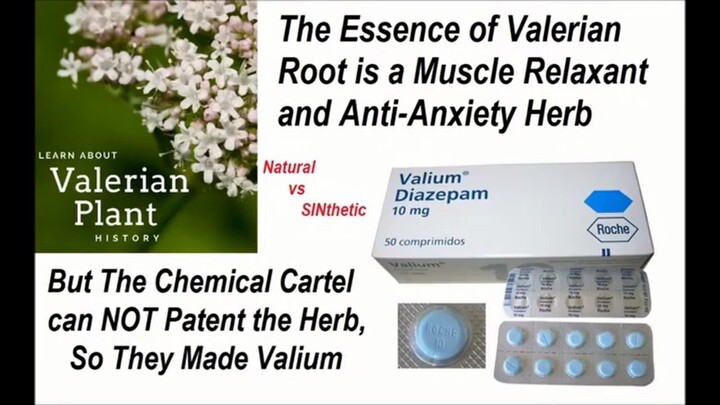 Synthetic is SINthetic -Valerian Completely Safe+Effective versus Valium Addictive