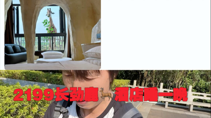 Stay a Night at the Giraffe Hotel