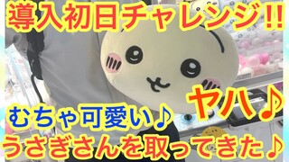 【ちいかわ】だららんBIGぬいぐるみうさぎ初日チャレンジ！！初日の設定はいかに！？