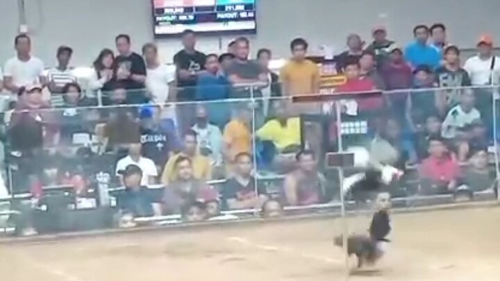 easy money fight namin SA Pasay