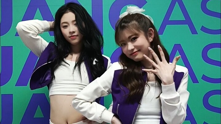 [Produce Camp Asia] HARD Group TikTok Update | Ikema Ryuuko, EMMA, Zhu Yimeng, GUEMHEE, NATTY, P.AMP