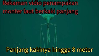 ngeriiiiiii!!,panjang kakinya aja 8 meter apalagi tubuhnya😬😫😵😵