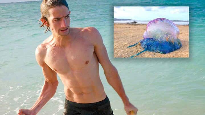 The Internet celebrity's reaction to being stung by a jellyfish was particularly scary, desert islan