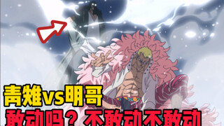 【铁管说海贼134】明哥想杀斯摩格，青雉登场，你动一下试试
